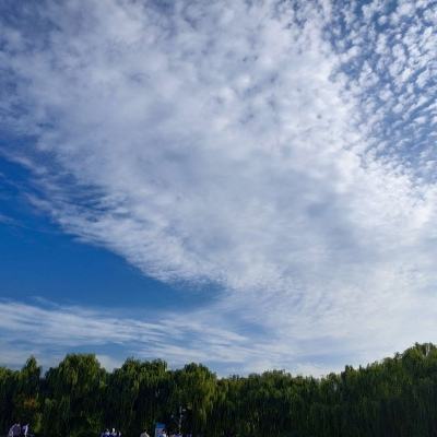 Token定名“词元” 它有多重要